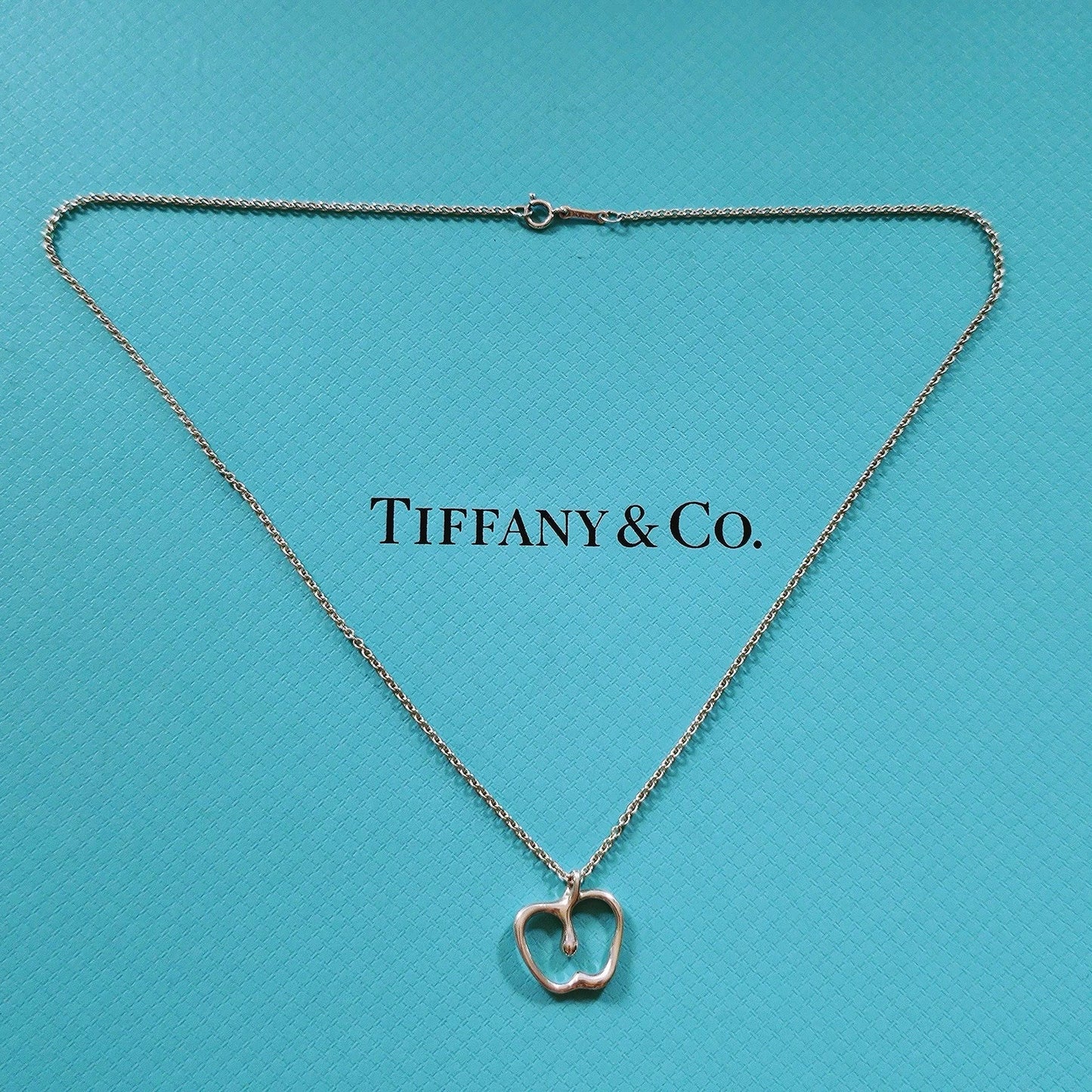Vintage Tiffany & Co. Elsa Peretti Apple Sterling Silver Pendant Necklace