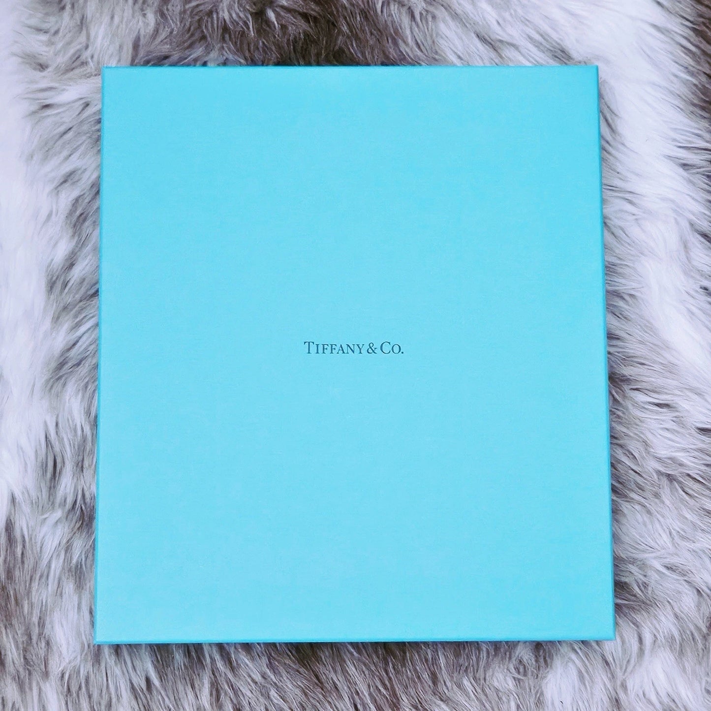 Tiffany & Co. Tiffany Wonder Tokyo Limited Edition Assouline Art Book Japan