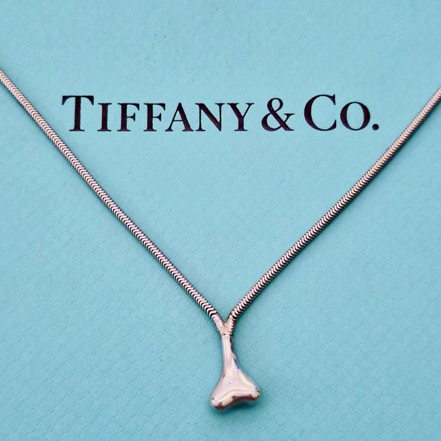 RARE Vintage Tiffany & Co. Snake Chain Bone Sculpture Lariat Silver Necklace