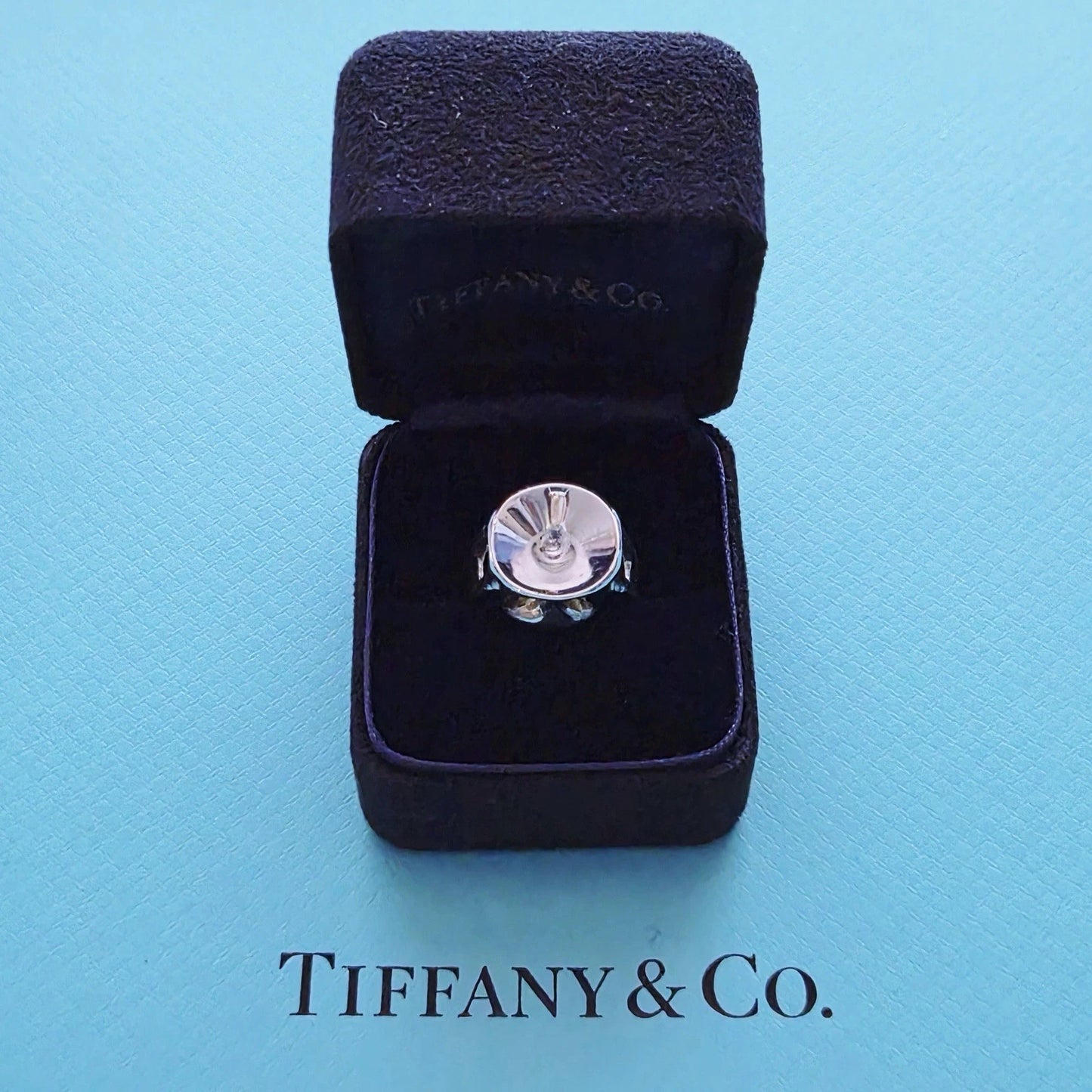 RARE Vintage 1985 Tiffany & Co. Elsa Peretti Sculptural Sterling Silver Ring