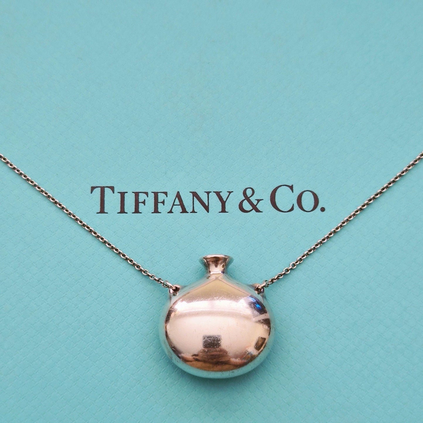 RARE Vintage Tiffany & Co. Elsa Peretti Open Bottle Sterling Silver Necklace