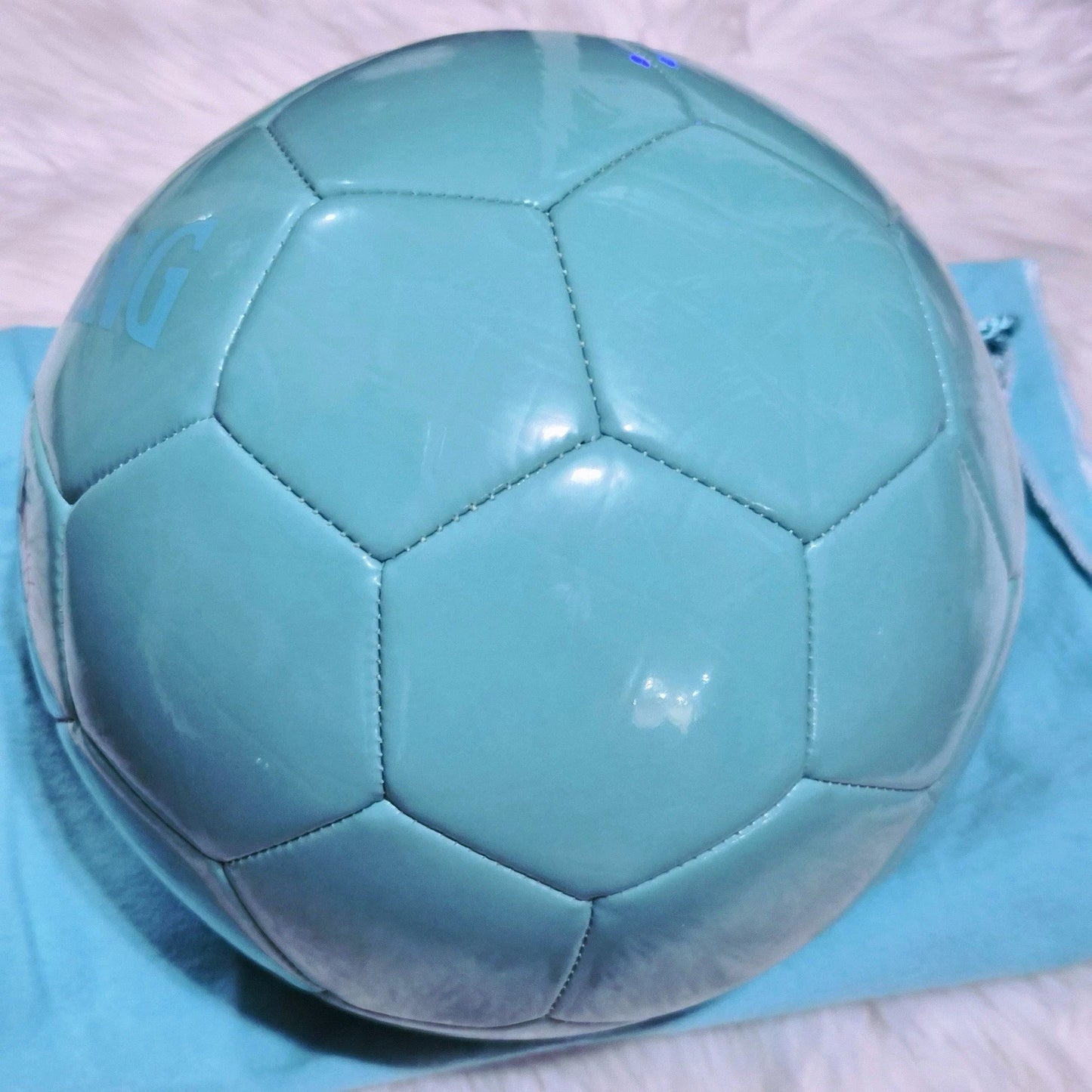 RARE Tiffany & Co. x SPALDING Cat Street Leather Soccer Ball Size 5 Japan Exclusive
