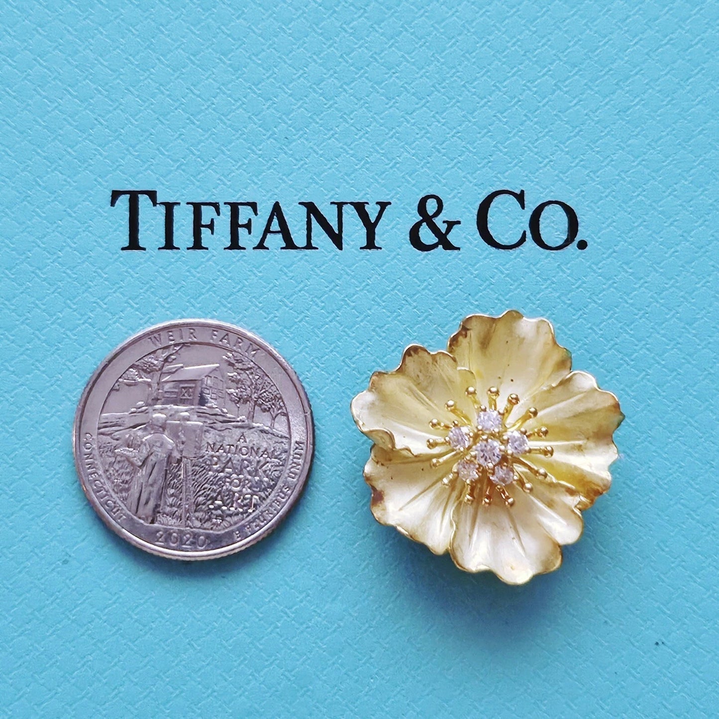 RARE Tiffany & Co. 18K Yellow Gold Diamond Dogwood Flower Brooch Pendant .35 TCW