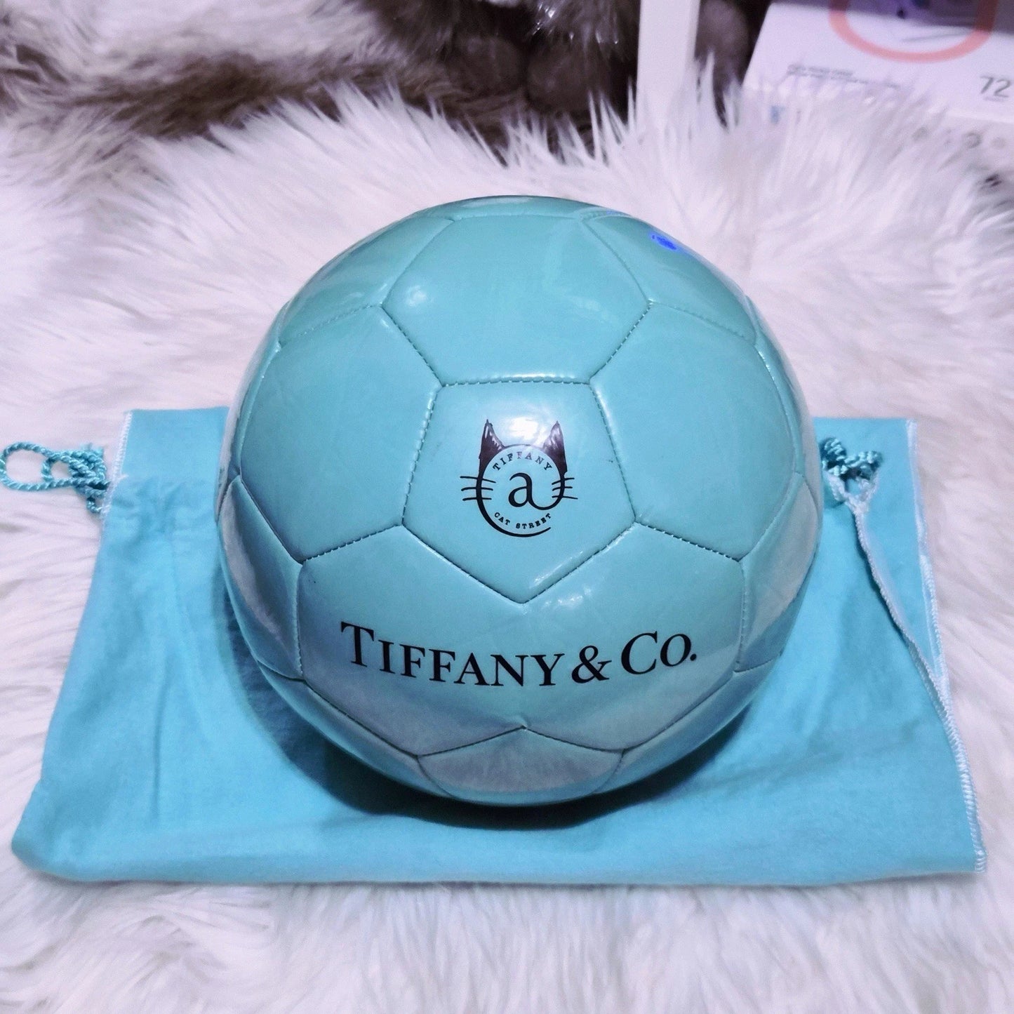 RARE Tiffany & Co. x SPALDING Cat Street Leather Soccer Ball Size 5 Japan Exclusive