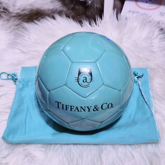 RARE Tiffany & Co. x SPALDING Cat Street Leather Soccer Ball Size 5 Japan Exclusive