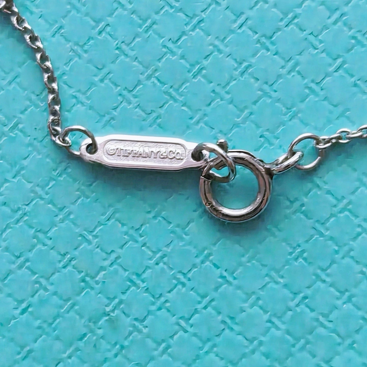 Tiffany & Co. Enchant Mini Diamond Flower Garden Platinum Pendant Necklace