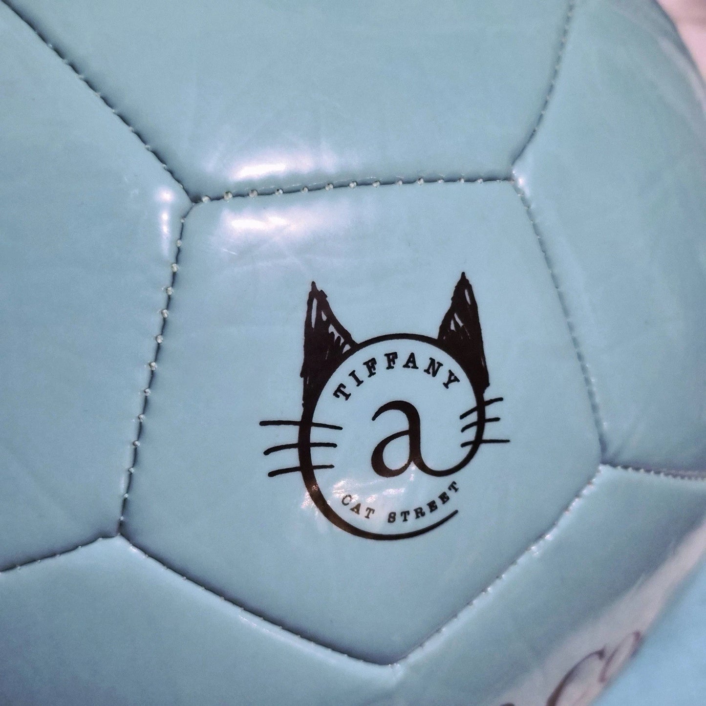RARE Tiffany & Co. x SPALDING Cat Street Leather Soccer Ball Size 5 Japan Exclusive