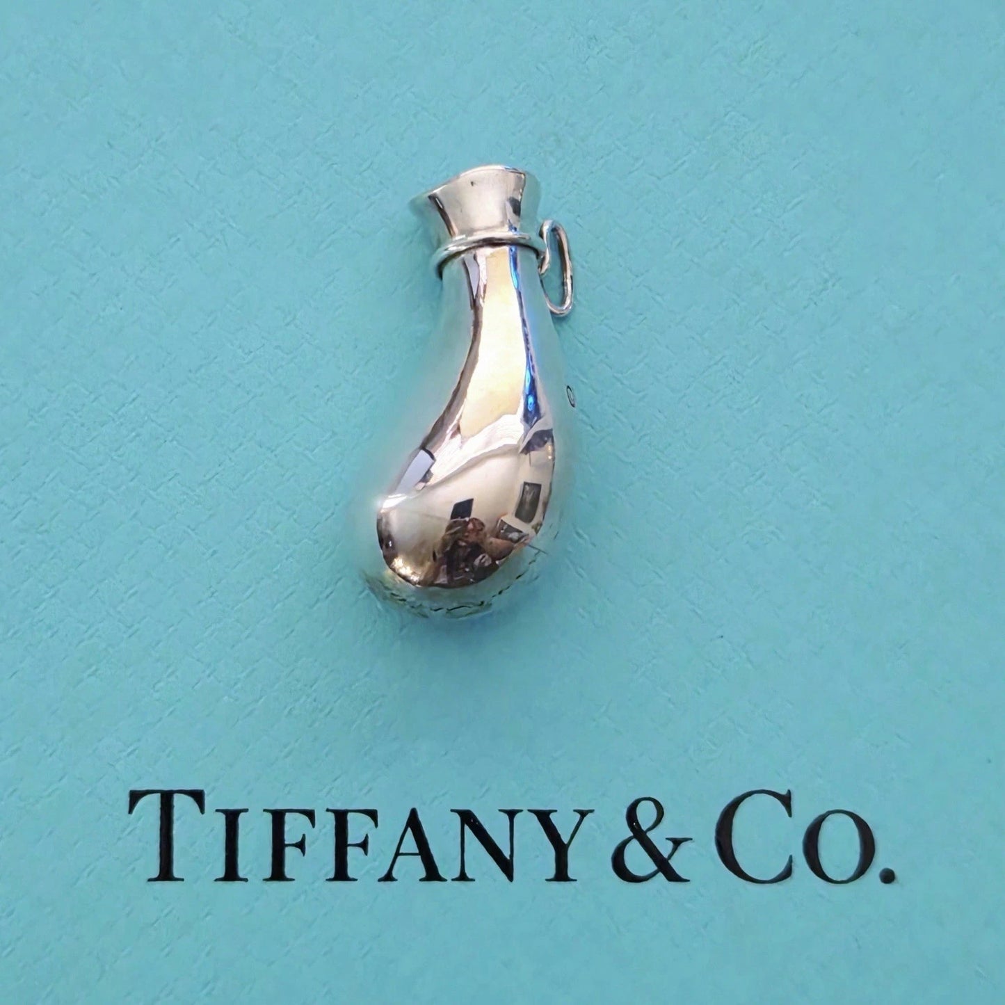 RARE Vintage 1970s Tiffany & Co. Elsa Peretti Big Bottle Jug Silver Pendant