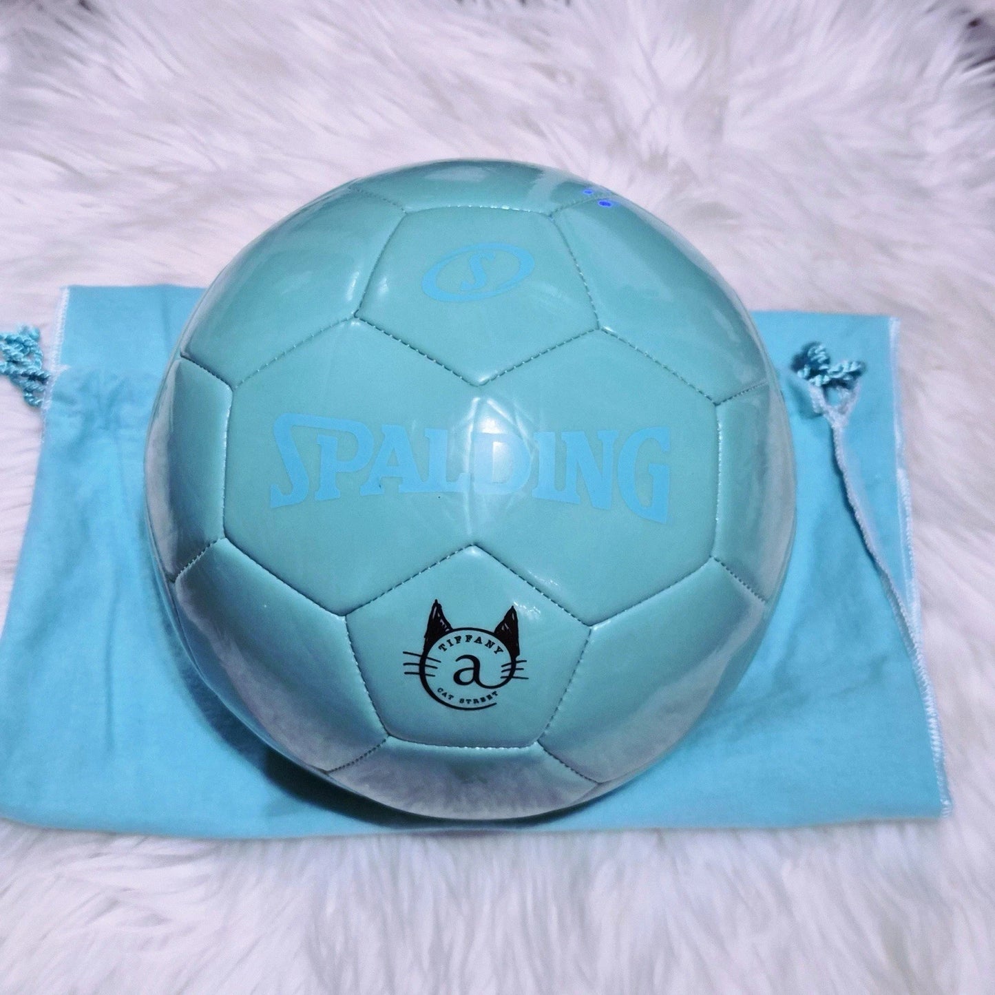 RARE Tiffany & Co. x SPALDING Cat Street Leather Soccer Ball Size 5 Japan Exclusive